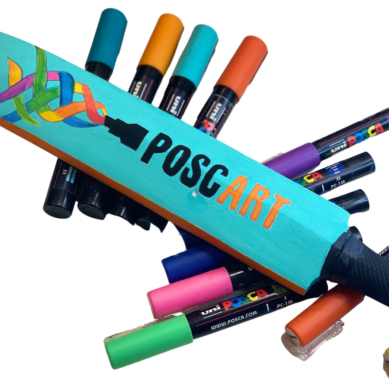 Blank mini cricket bat 38cm, decorated bat example