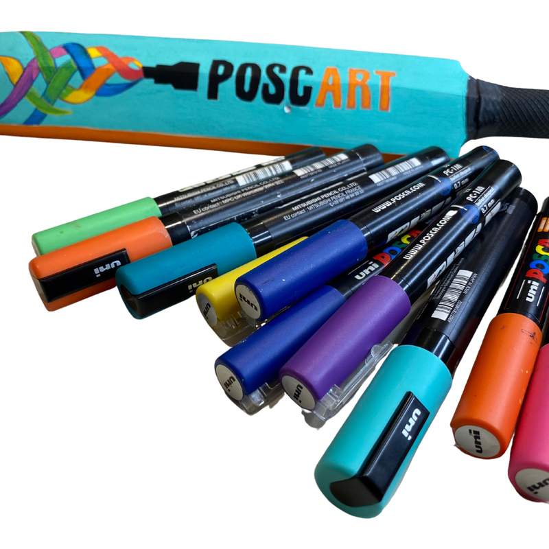 Blank mini cricket bat 38cm, painted design example
